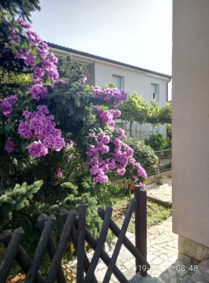 Apartman Vivian Pula Zewnętrze zdjęcie